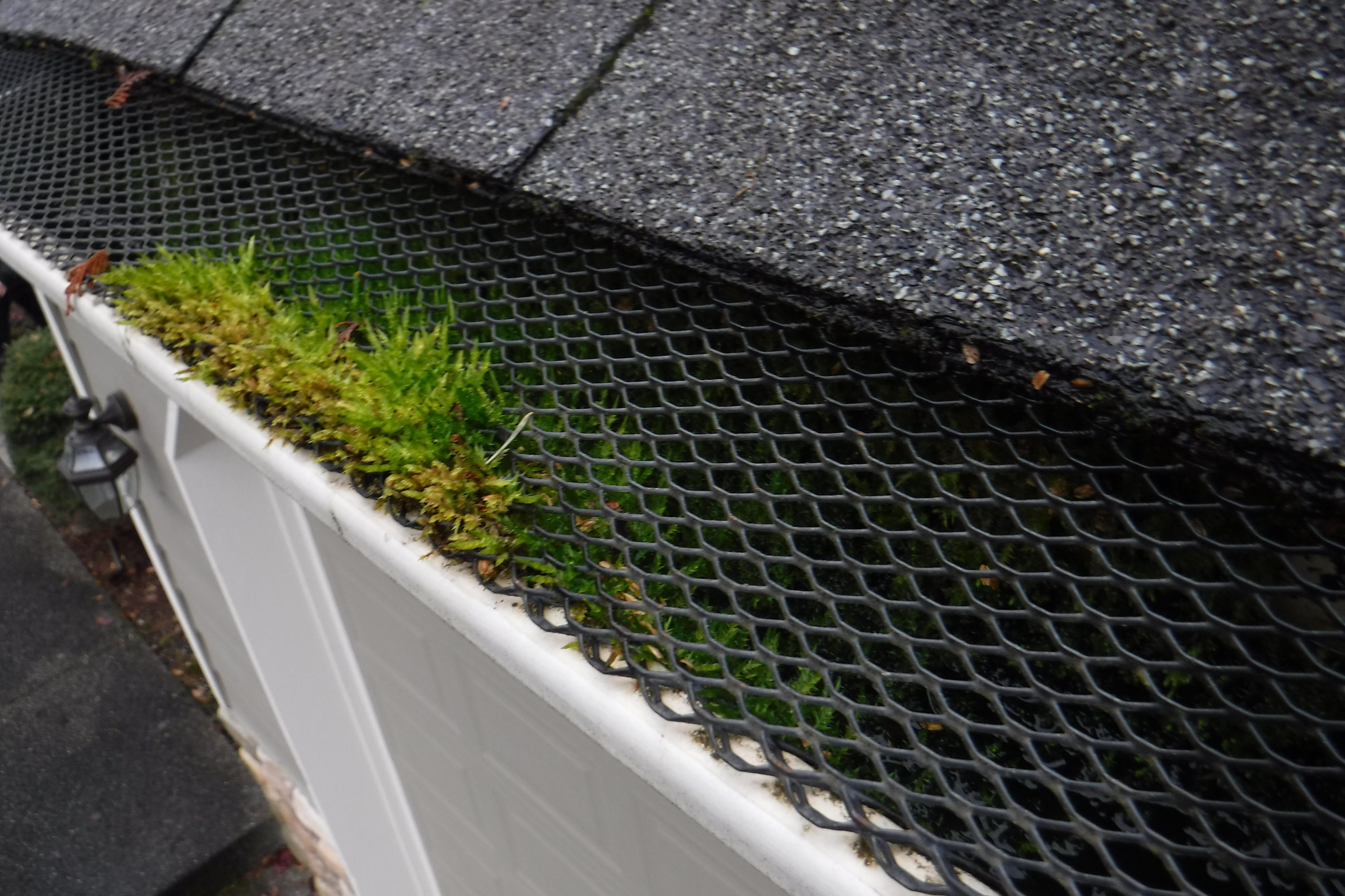 Do DIY Gutter Guards Actually Work in Seattle’s Rain? | RoofSmart